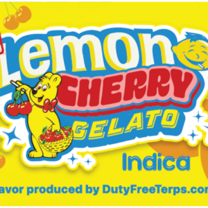 LEMON CHERRY GELATO